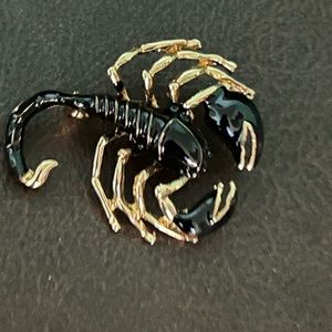 Beautiful SCORPION Brooch❣️